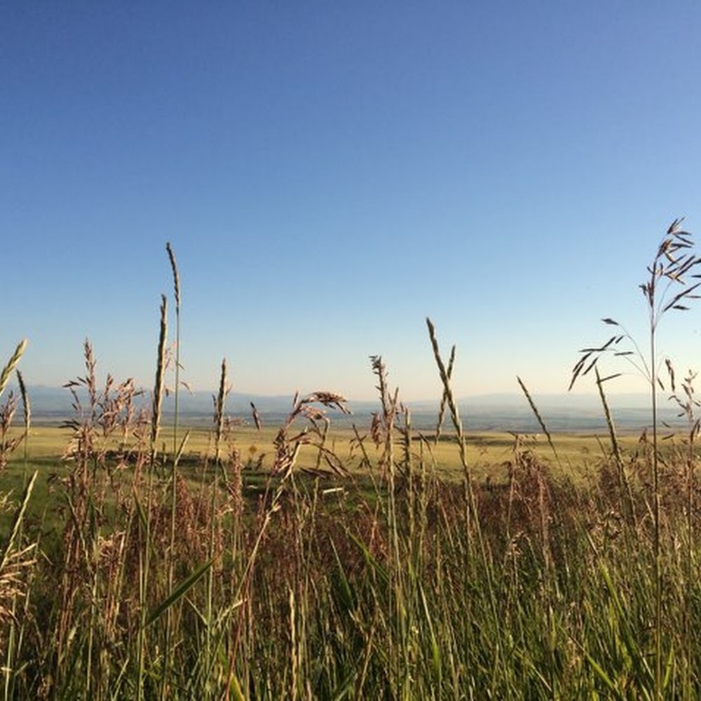 Meet your Posher, Kami